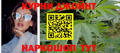 стафф Дубна