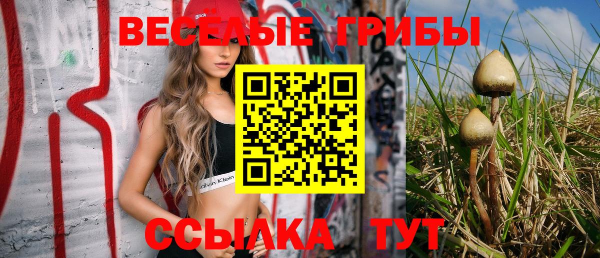 Галлюциногенные грибы Psilocybine cubensis  Вход с VPN  закладка  Медногорск 