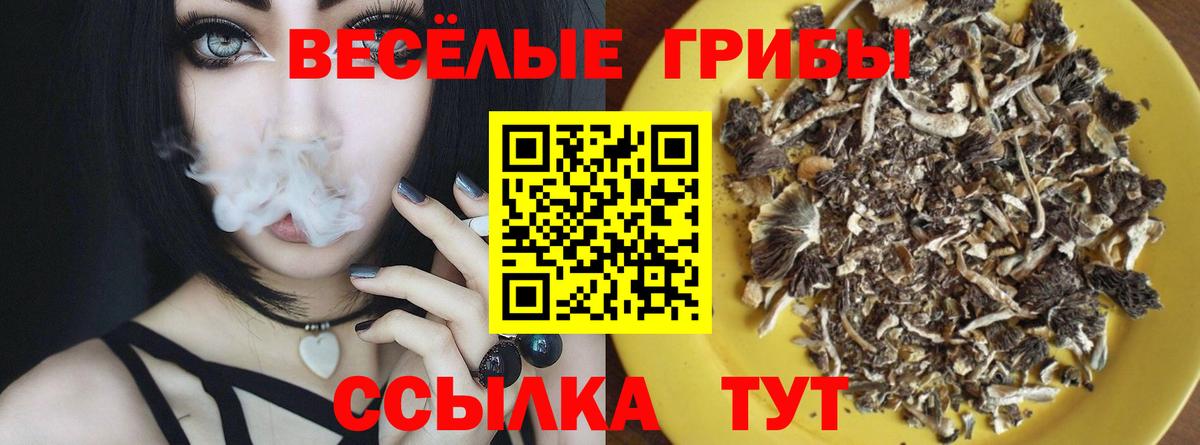 Галлюциногенные грибы GOLDEN TEACHER Медногорск